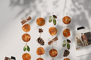 Watercolor flower - Winter Bohemian, an Illustration by Beigetime (Thumbnail 4 of 13)