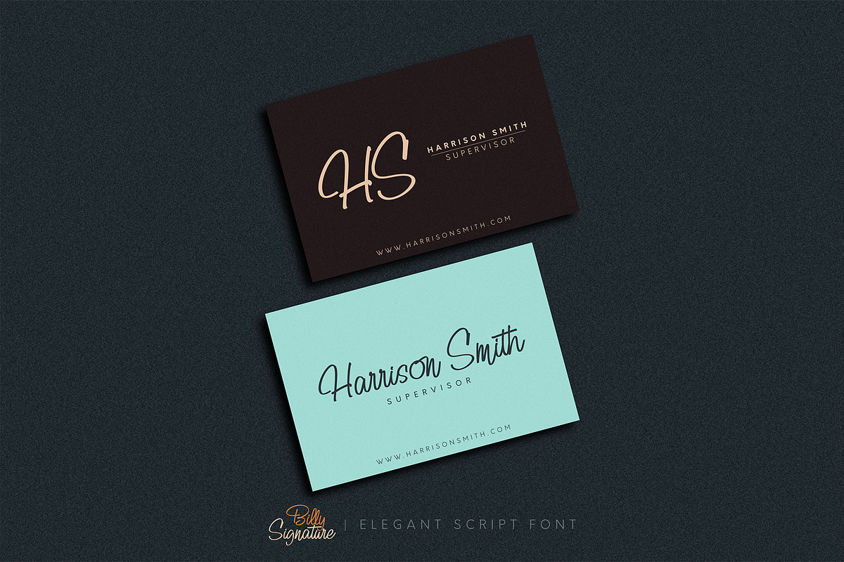 Billy Signature, a Script Font by Omotu Studio (Photo 9 of 12)