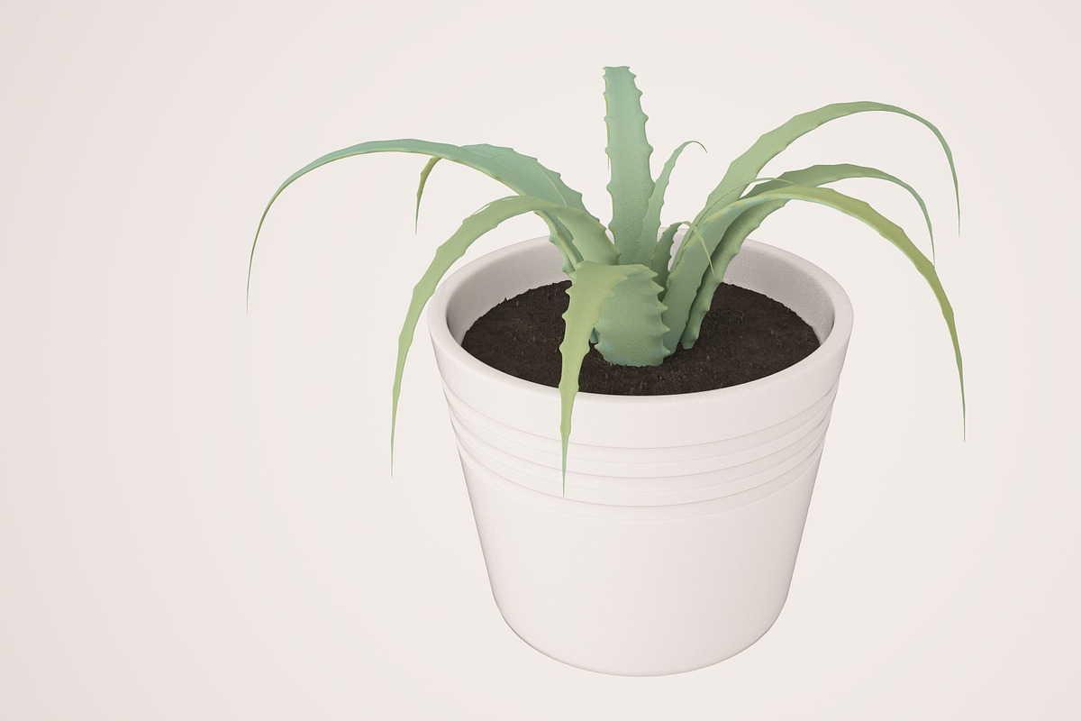 Plant n°1, an Object 3D Model by 3D Furnishing (Photo 3 of 20)