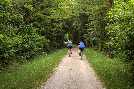 Two road cyclists, male and female on the road, a Sports & Recreation Photo by Bepslabor