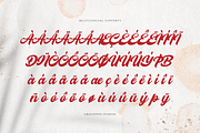 Melcostra | Handwritten Bold Script, a Script Font by gracetype_studio (Thumbnail 11 of 12)