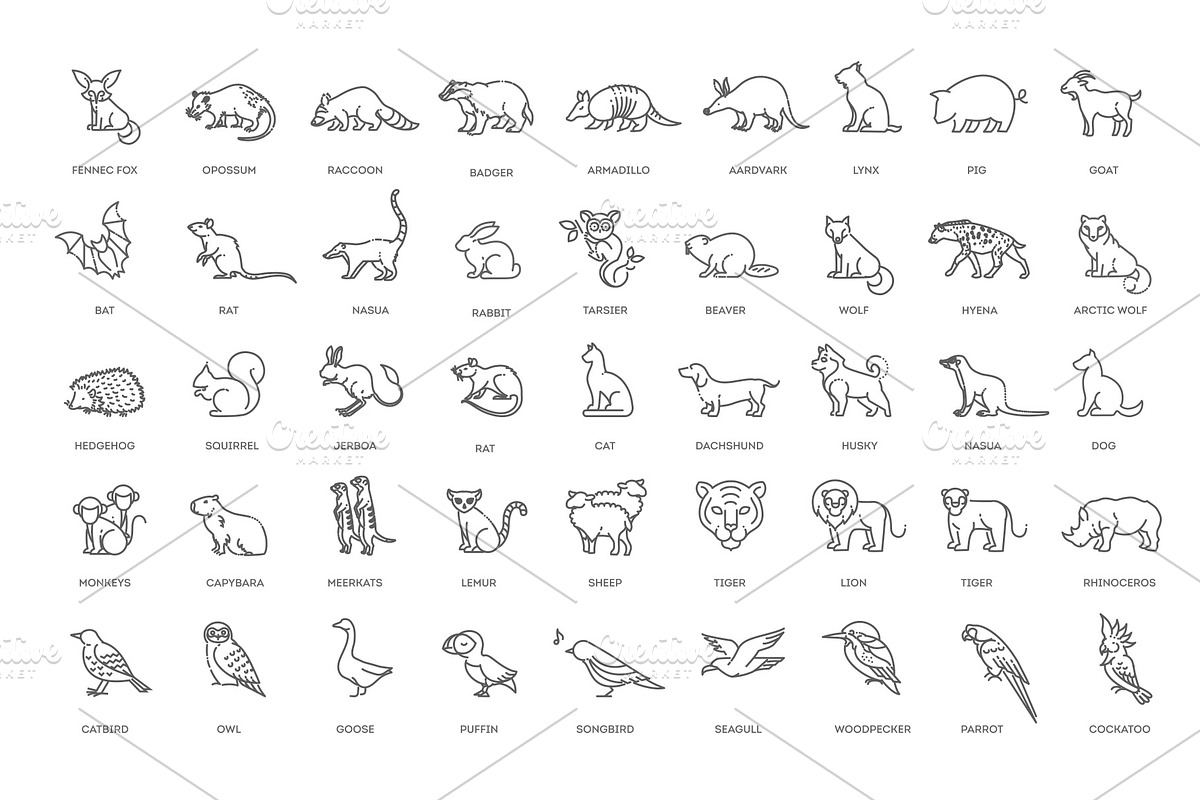 Animal icons. Vector icon set, an Animal Illustration by Tettygreen (Photo 2 of 3)