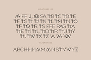Modern ligature-rich font, a Serif Font by elvinova (Thumbnail 17 of 18)