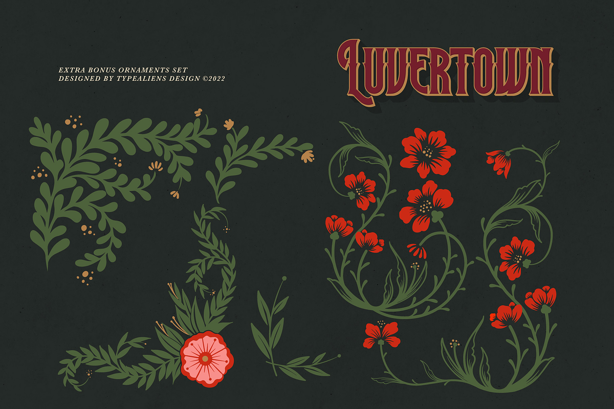 Luvertown, a Serif Font by ilhamtaro (Photo 11 of 11)