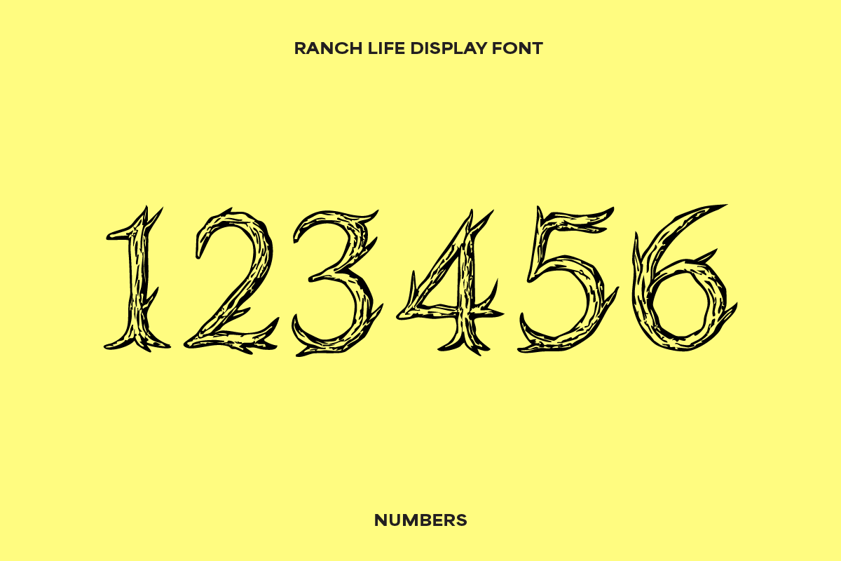 Ranch Life Western Display Font, a Handwritten Font by Sarah Baker (Photo 3 of 8)