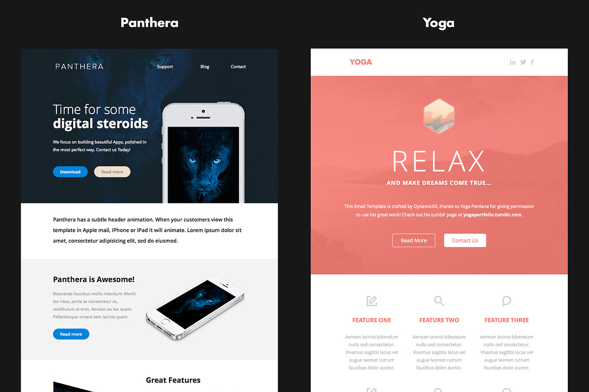 Combo B1+B2 - 14 Templates + Builder, an Email Template by DynamicXX (Photo 7 of 9)