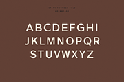 Stark Rounded - A Modern Sans Serif, a Sans Serif Font by Cassandra Cappello (Thumbnail 4 of 9)