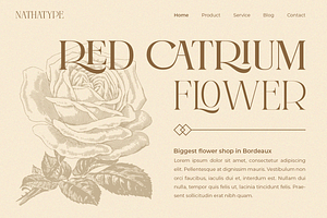 Castre - Serif Font Family Updated