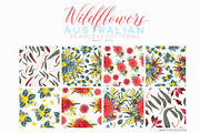 Wildflowers Australian Design Set, an Illustration by Sketchbook Designs (Thumbnail 9 of 11)