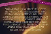 Wrigskan - Luxury Ligature Serif, a Serif Font by Enxyclo Studio (Thumbnail 2 of 15)