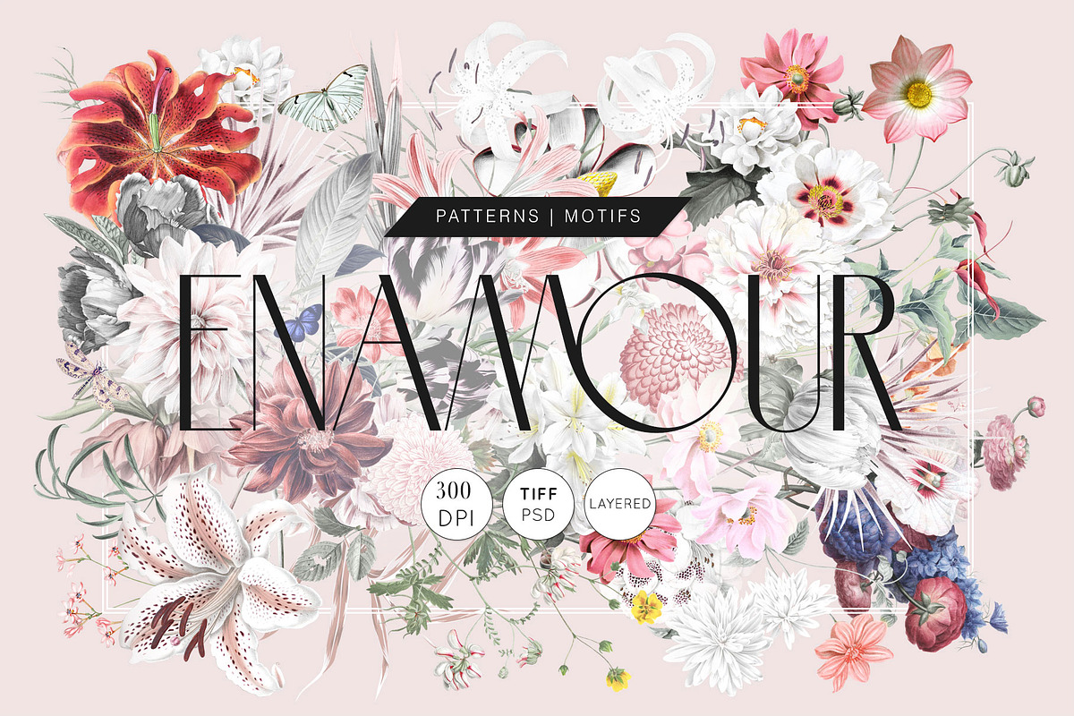 Enamour, Elegant Floral Blooms., a Pattern Graphic by TSTUDIO (Photo 1 of 14)