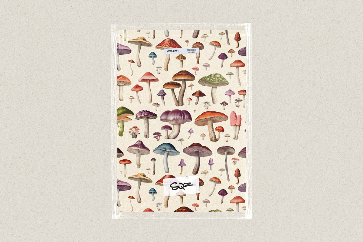 Fungi - botanical illustrations, an Object Graphic by AI Crafted Magnolia (Photo 13 of 13)