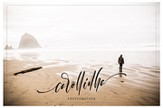 Sampestera Black Friday, a Script Font by MissinkLab Studio (Thumbnail 8 of 10)