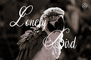 Silkora, a Handwritten Font by Dm Studio (Thumbnail 5 of 8)