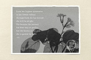 Petite Fleur Font: SVG, Regular, a Serif Font by ReveryWorks (Thumbnail 9 of 10)