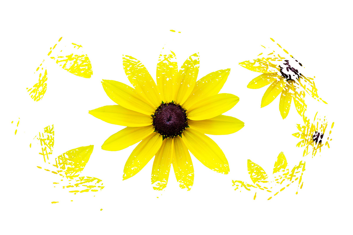 Bleach Effect Background Sublimation, a Brush Add-On by VetalStock (Photo 4 of 4)
