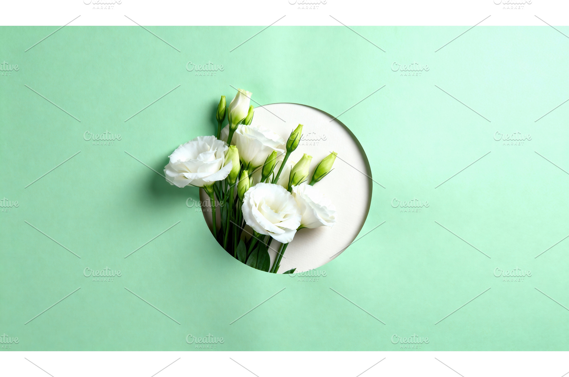 White lisianthus flowers in a, a Nature Photo by tilialucida