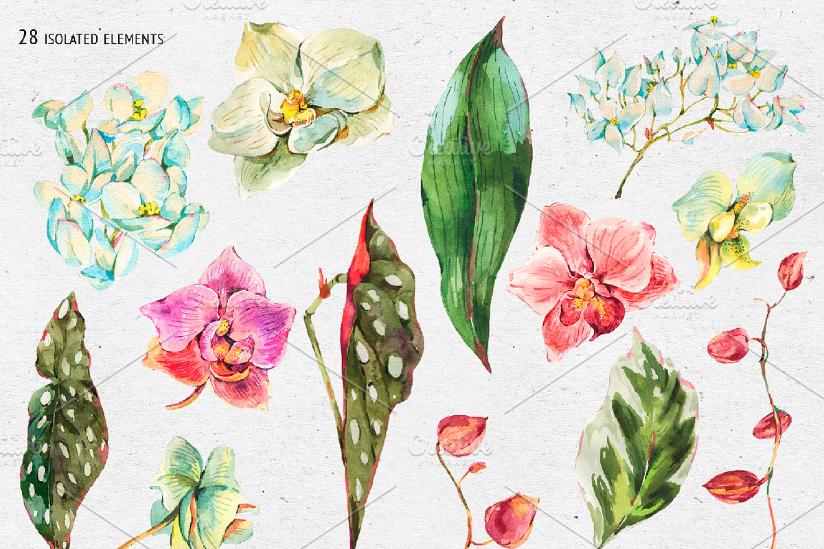 Tropical leaves graphic pack, an Illustration by Belusuab (Photo 2 of 16)