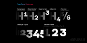 Lonie, a Sans Serif Font by Par Défaut (Thumbnail 3 of 11)