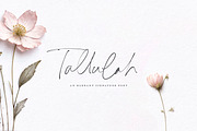 Tallulah Signature Script, a Script Font by Callie Rian & Co. (Thumbnail 1 of 17)