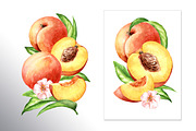 Honey Peaches. Original Watercolor, a Food Illustration by Daria Ustiugova (Thumbnail 7 of 21)