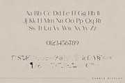 Rabble - display typeface, a Serif Font by Only Fonts (Thumbnail 8 of 10)