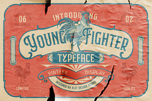 Young Fighter Vintage Display