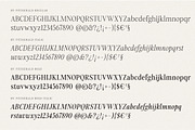 Fitzgerald - Classic Retro Serif, a Serif Font by Harmonais Visual (Thumbnail 31 of 31)