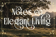 Quickiest - Elegant Serif Font, a Serif Font by Vampstudio (Thumbnail 4 of 12)