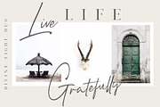 Divine Light Font Duo and extras, a Script Font by BlackCatsMedia (Thumbnail 10 of 11)