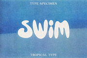 Display Font Collection, a Slab Serif Font by Tropical Type (Thumbnail 9 of 46)