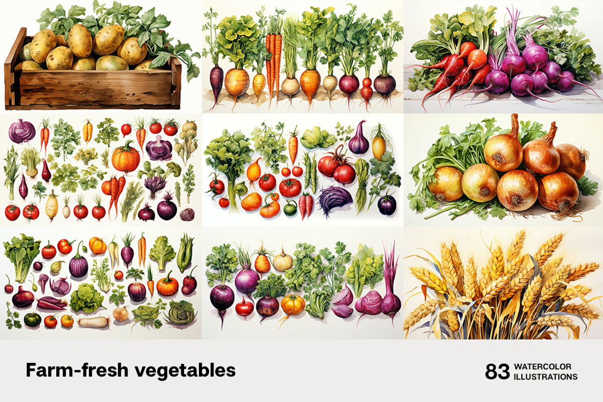 Farm-fresh vegetables. 83 images, a Food Illustration by Handmadefont (Photo 13 of 14)