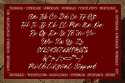 Brandoria – Handwritten Script Font, a Script Font by Unicode Studio (Thumbnail 9 of 10)