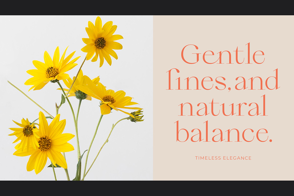 Qiona Elegant Modern Serif Font, a Serif Font by timelesstype.co (Photo 7 of 20)