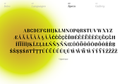 Proto Serif Bold, a Serif Font by Bukva™ Type Foundry (Thumbnail 5 of 13)