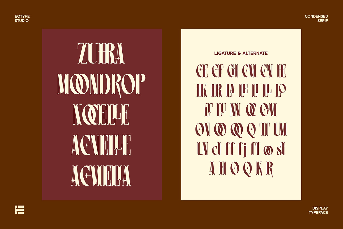 Leonice - Display Font, a Font by Eotype Studio (Photo 11 of 12)