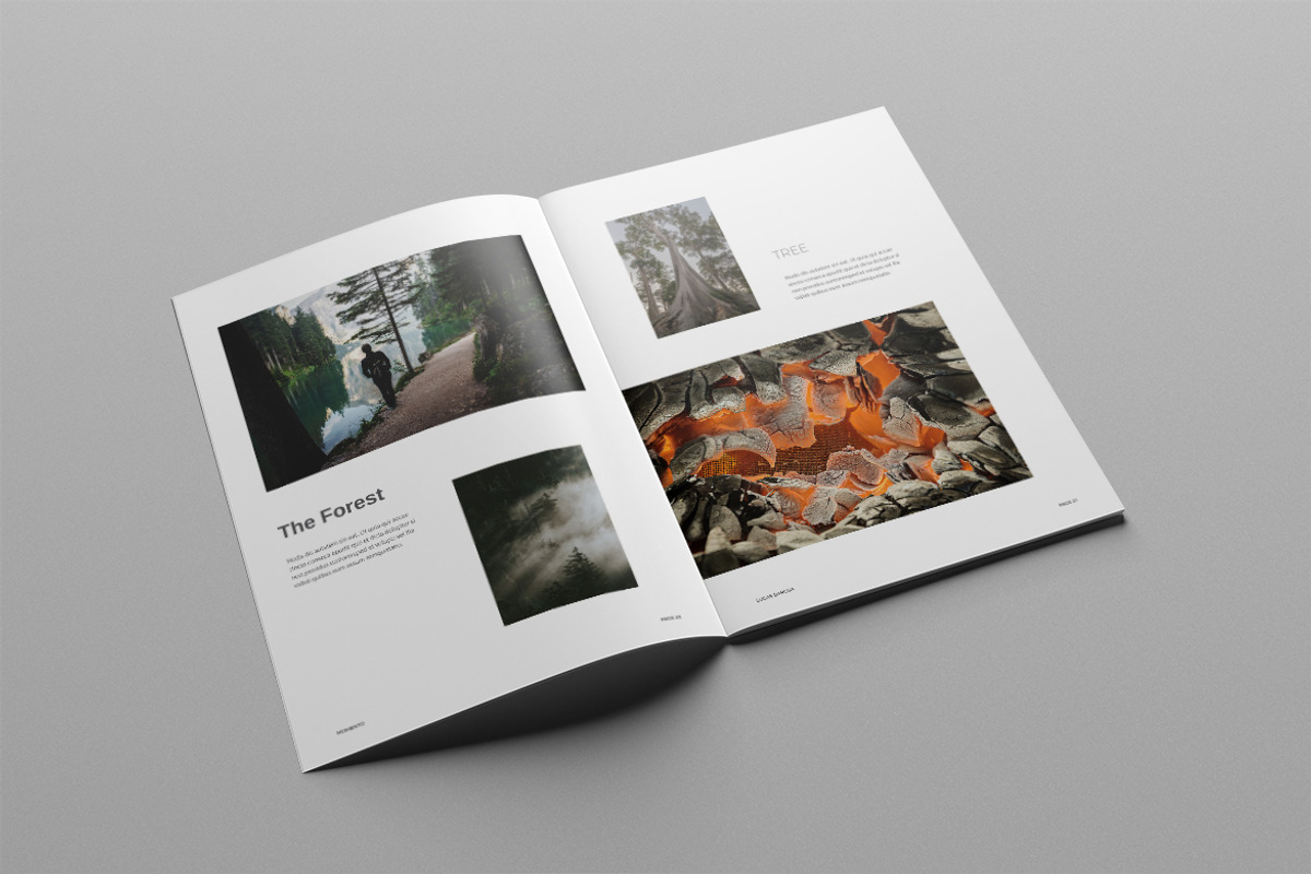 Photography Portfolio, a Brochure Template by Meenom Templates (Photo 13 of 20)