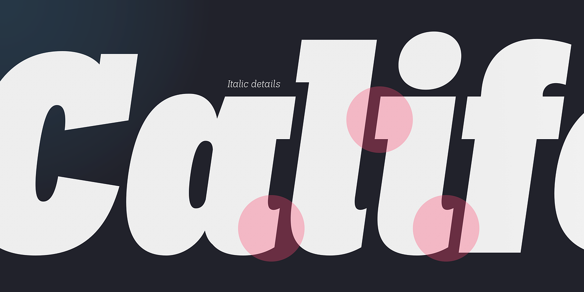 Palo Slab, a Slab Serif Font by TypeUnion (Photo 11 of 13)