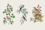 Free Birds, a Decorative Illustration by olga.korneeva (Thumbnail 5 of 11)