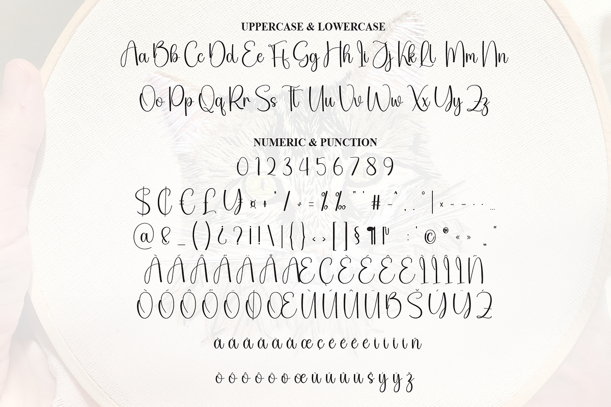 Elegant Embroidery | Script Font, a Handwritten Font by Scratchones (Photo 7 of 9)