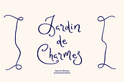Amoratti Blossom, a Script Font by Sans & Sons (Thumbnail 5 of 9)