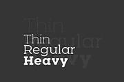 Woodman Slab Serif Font, a Slab Serif Font by Graphicdome (Thumbnail 2 of 14)