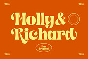 Shyne Roska Groovy Retro Serif, a Serif Font by timelesstype.co (Thumbnail 6 of 20)