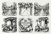 Grape Harvest Vineyard Graphics, a Decorative Illustration by DENIDigitalArtSudio (Thumbnail 2 of 6)