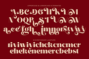 Storila, a Serif Font by zeenesia (Thumbnail 12 of 12)