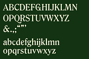 Gertrude - An Ornamental Serif, a Font by Press & Pen (Thumbnail 8 of 9)