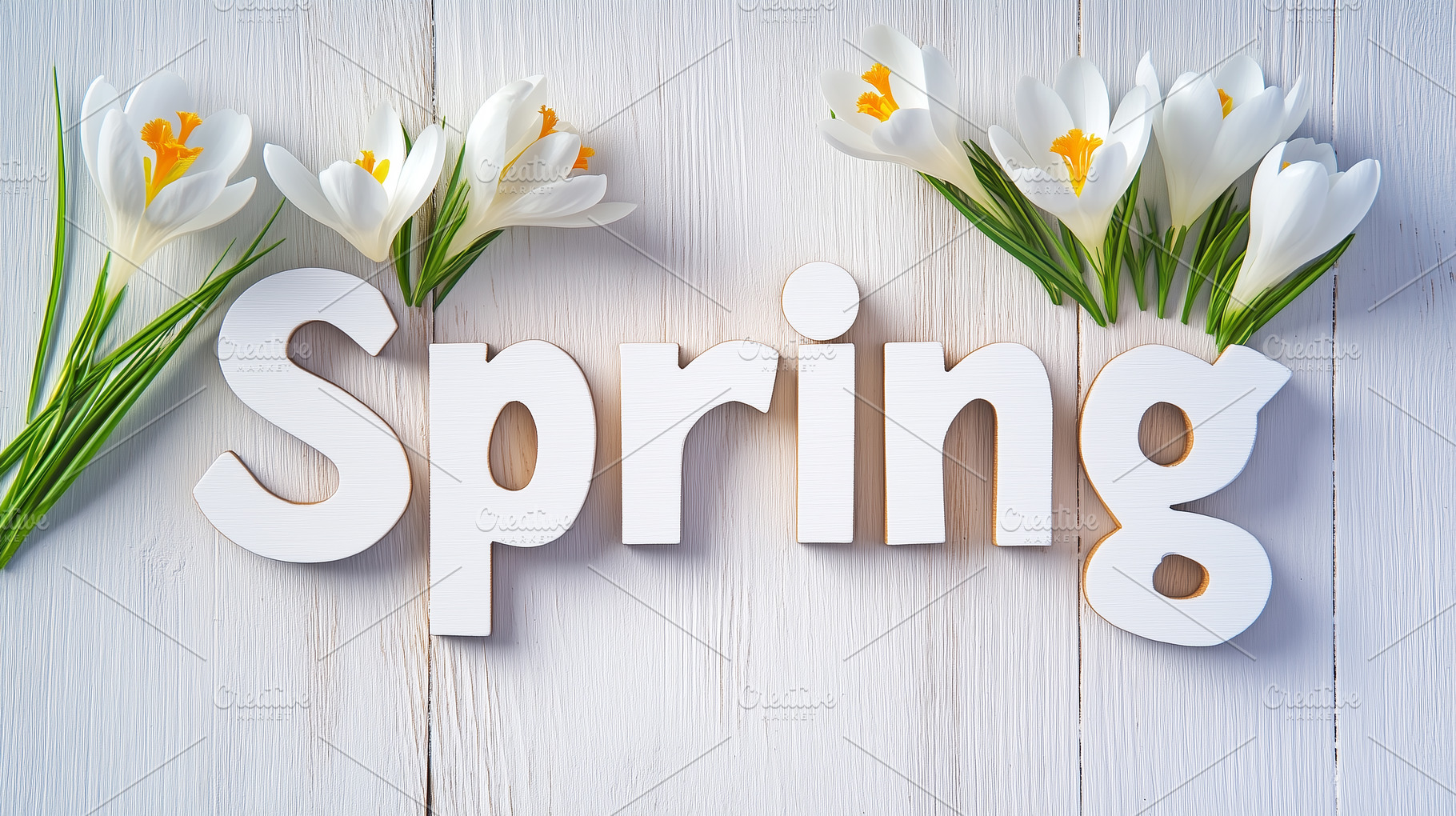 Banner with blooming white crocuses, an Abstract Photo by Imaginarium