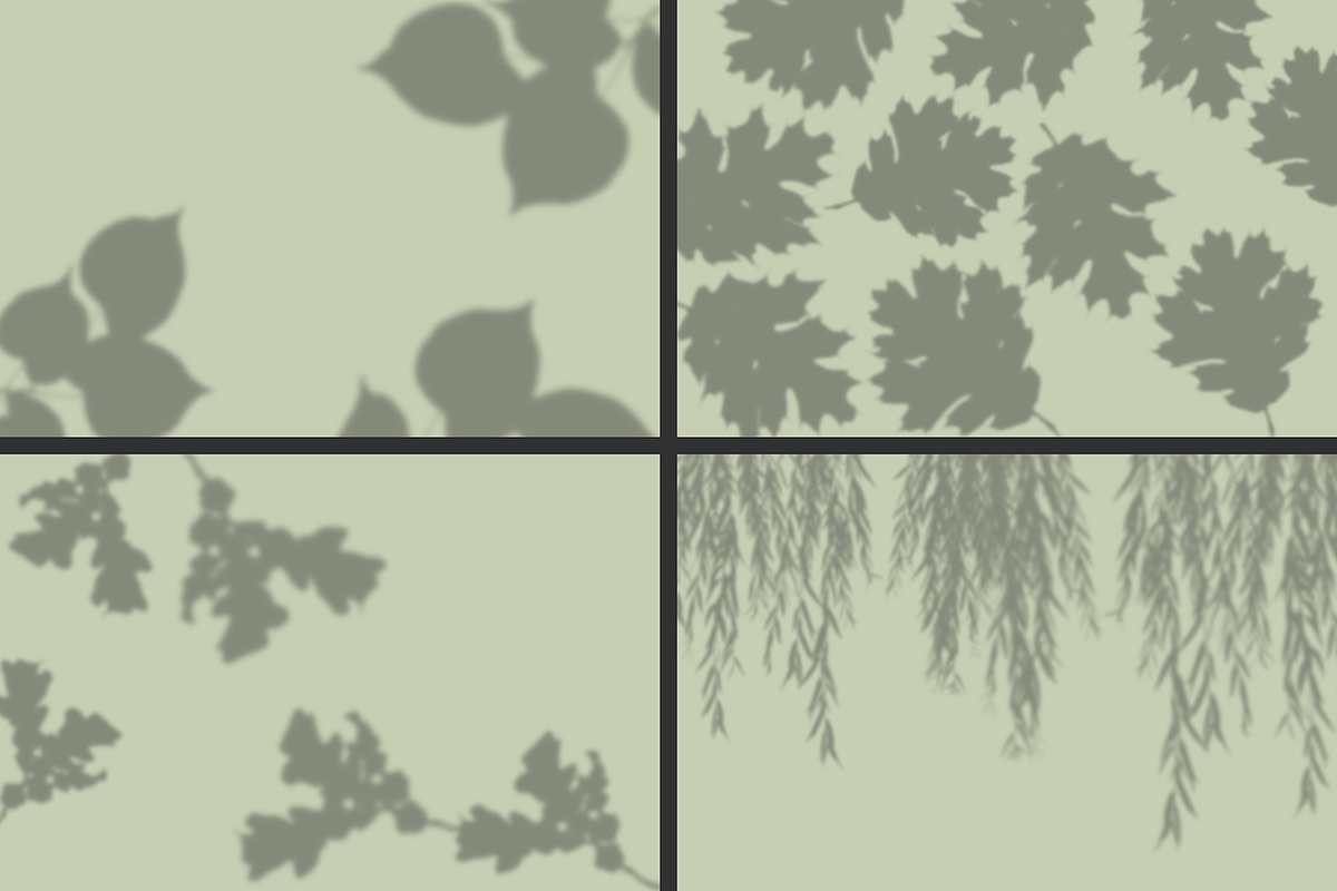 50 plants shadows, a Mockup by AnastasiyaOleynik (Photo 10 of 14)