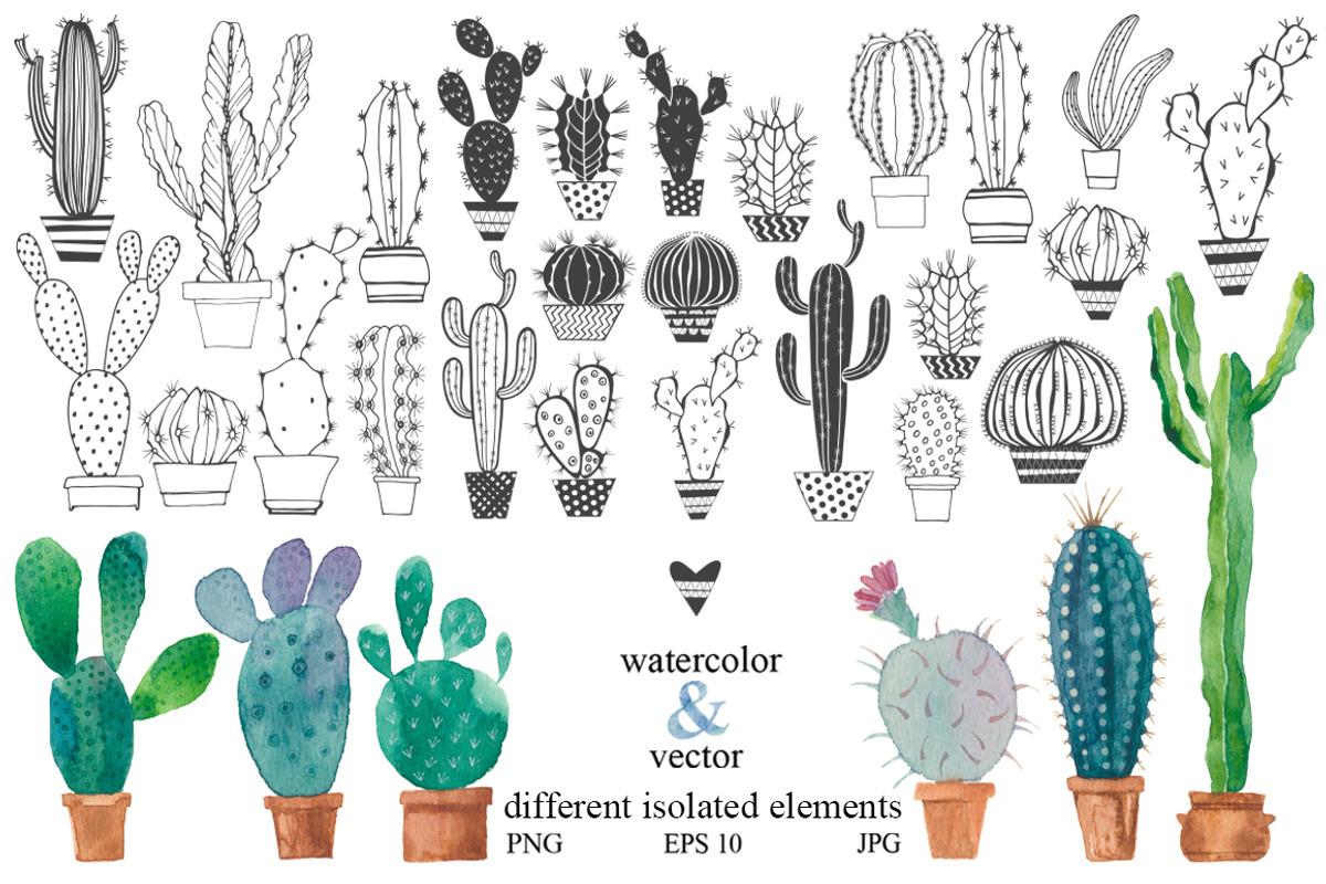 Сactus set, an Illustration by maritime_m (Photo 3 of 5)