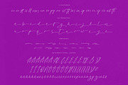 Glistening Silent Modern Stylish, a Script Font by Letterena Studios Script (Thumbnail 14 of 15)